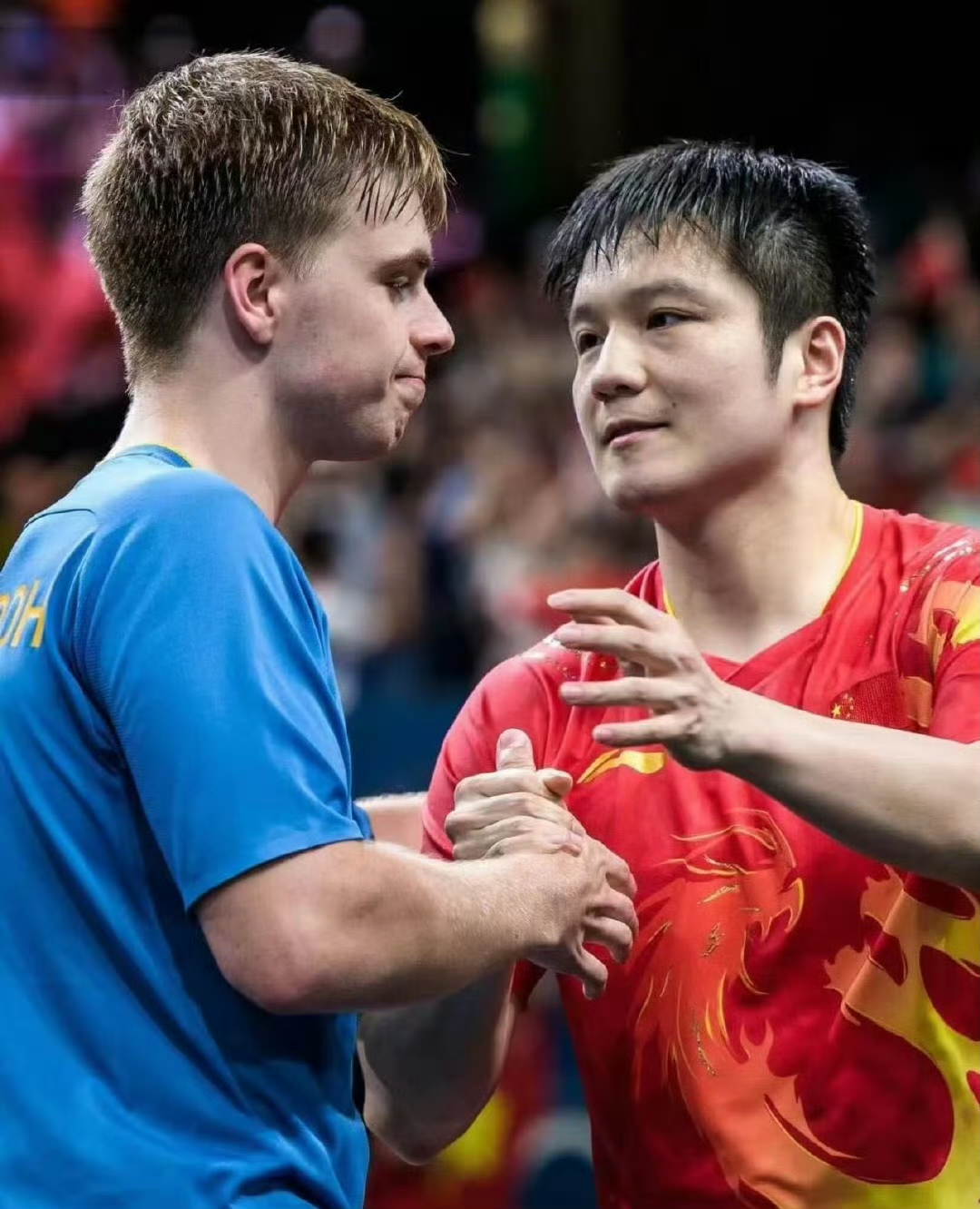 PG电子娱乐-中国乒乓球队绝杀波兰乒乓球队，波尔制霸全场的简单介绍