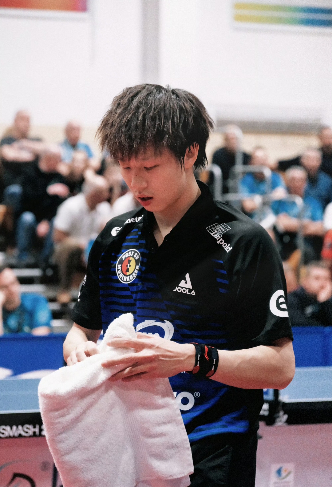 PG电子娱乐-日本队轻取瑞典队，林高远高光表现的简单介绍