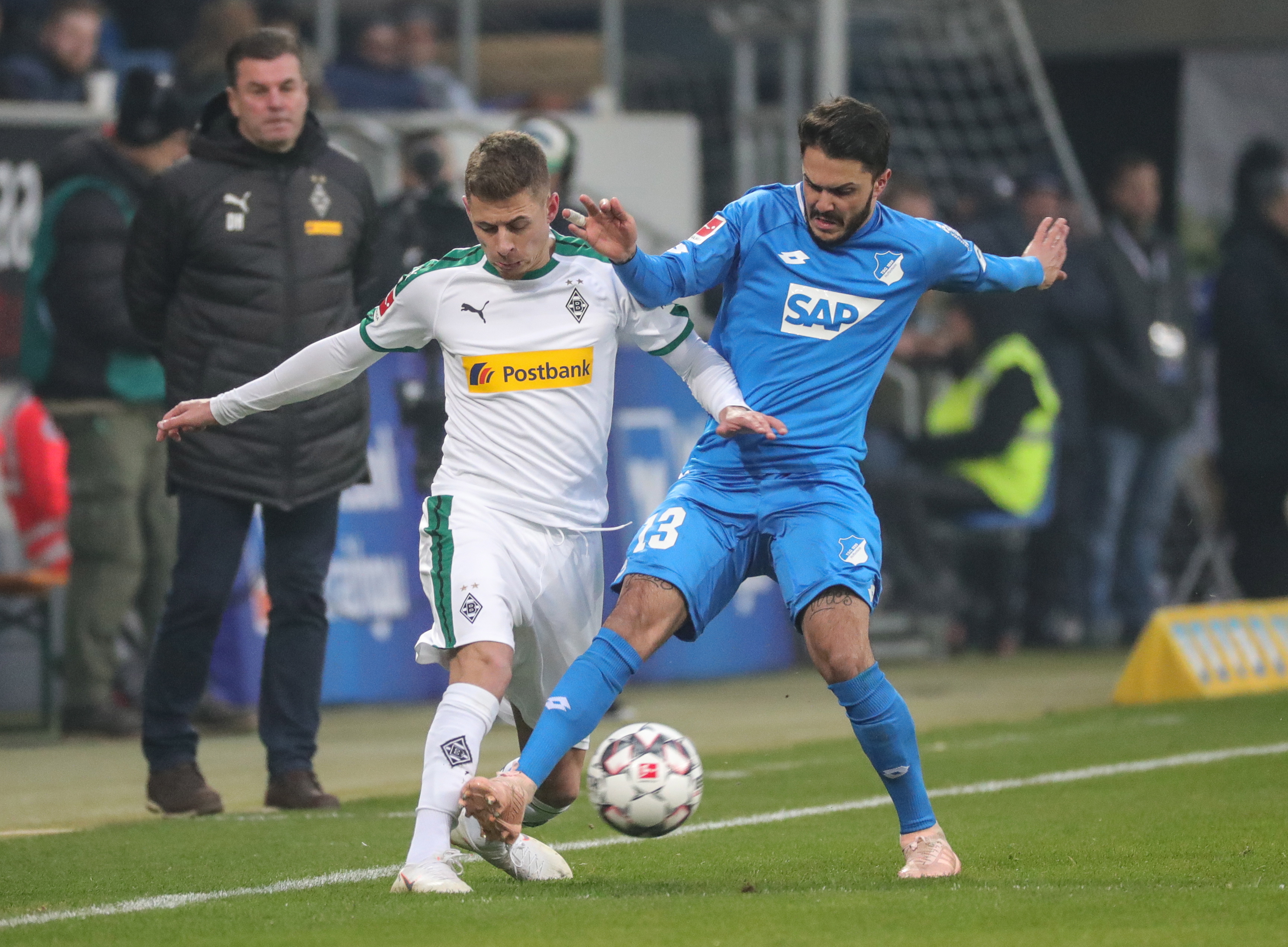 霍芬海姆球员积极备战新赛季