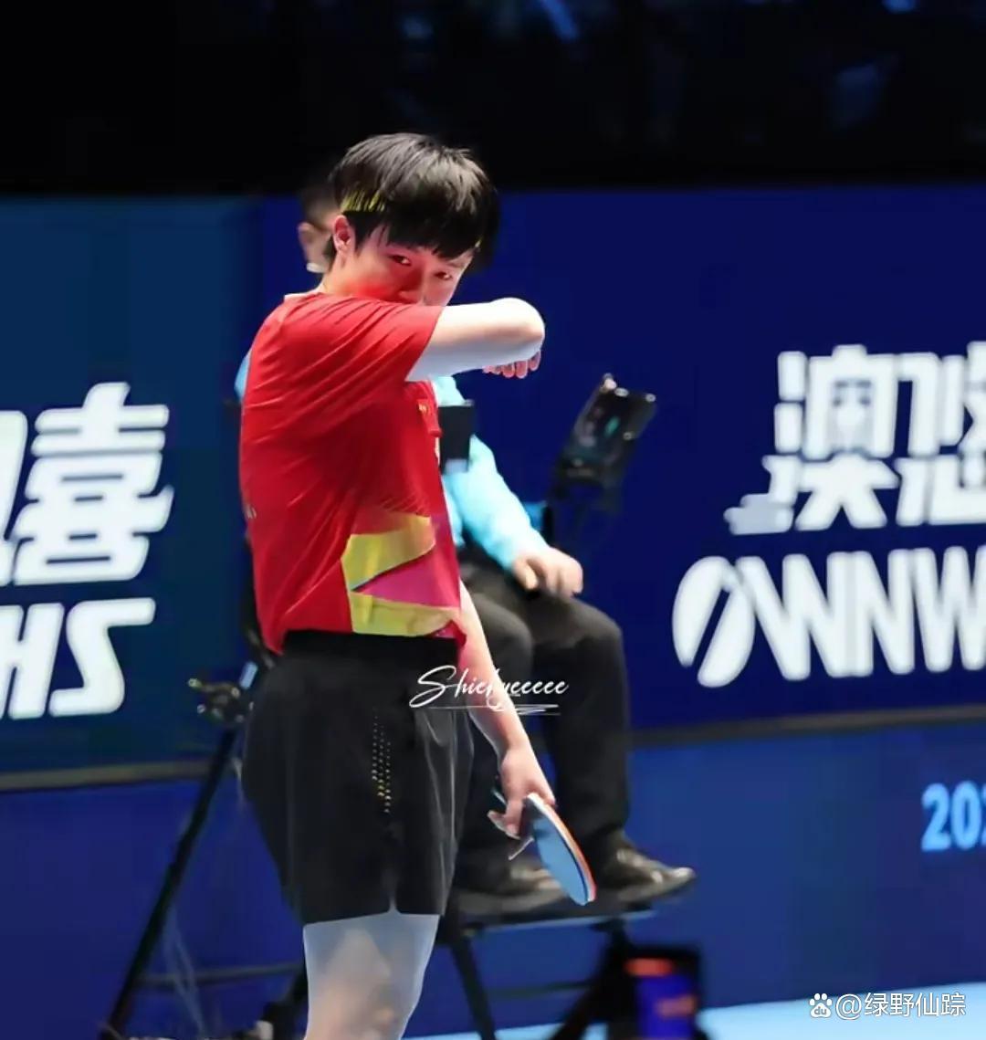 韩国乒乓球队轻取奥地利乒乓球队，王皓高光表现的简单介绍