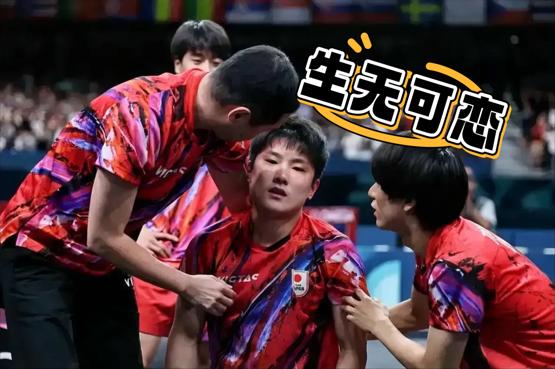 包含德国乒乓球队鏖战中国乒乓球队，张本智和绝境逆转的词条