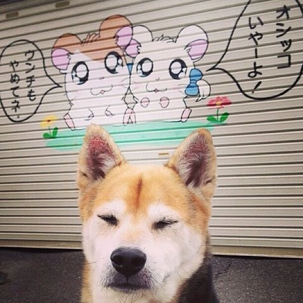 PG游戏APP-冰与火之歌，当山西的冷风席卷密尔沃基，爱德华兹在西部点燃不灭的火焰