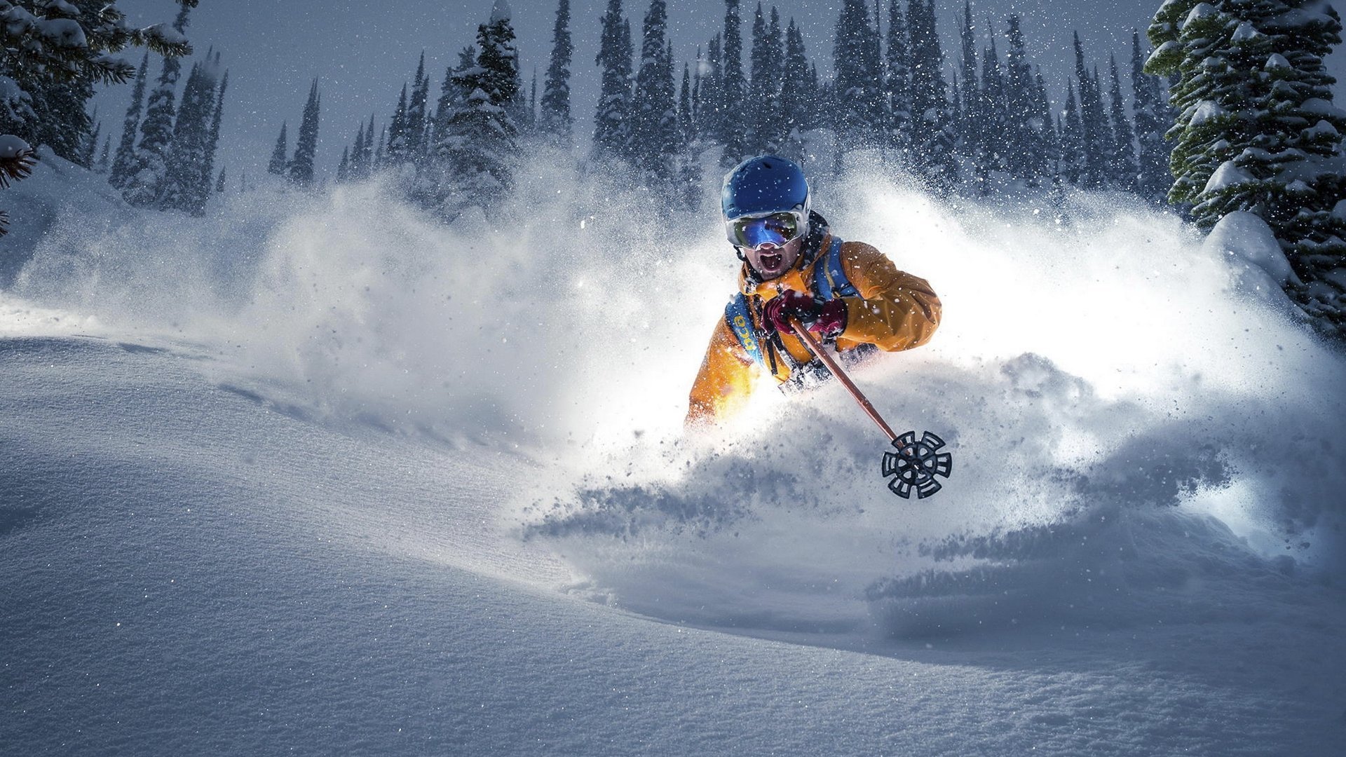 扩展（供选择）